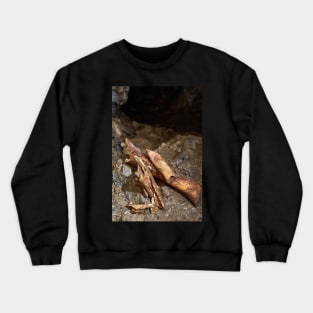 Cave bear fossils closeup Crewneck Sweatshirt